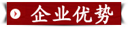 碧江企業優勢