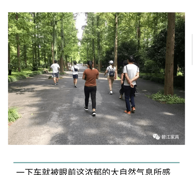 碧江員工崇明島一日游