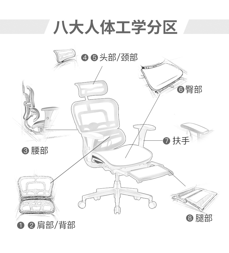 人體工學(xué)辦公椅 人體工學(xué)辦公椅