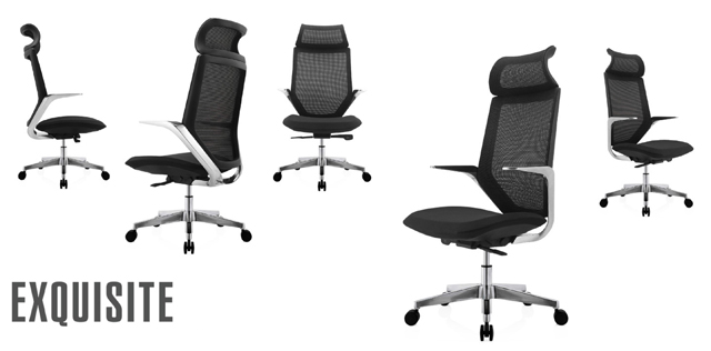 人體工學(xué)椅 人體工學(xué)椅