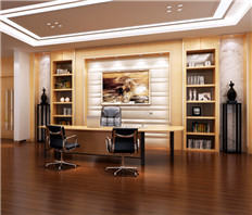 技術(shù)總監(jiān)辦公室家具設(shè)計(jì)